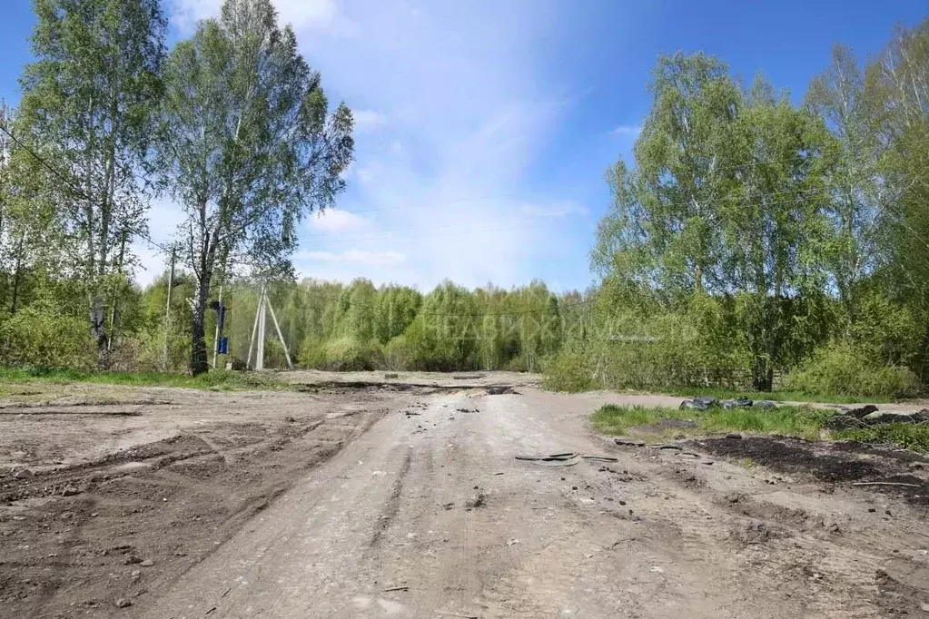 Участок в Тюменская область, Тюмень Солнечная ул. (6.6 сот.) - Фото 1