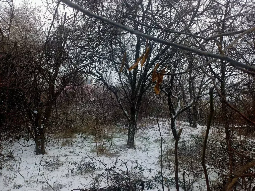 Участок в Симферопольский район, село Трудовое (8 м) - Фото 2