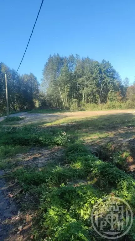 Участок в Ленинградская область, Всеволожский район, Куйвозовское ... - Фото 1
