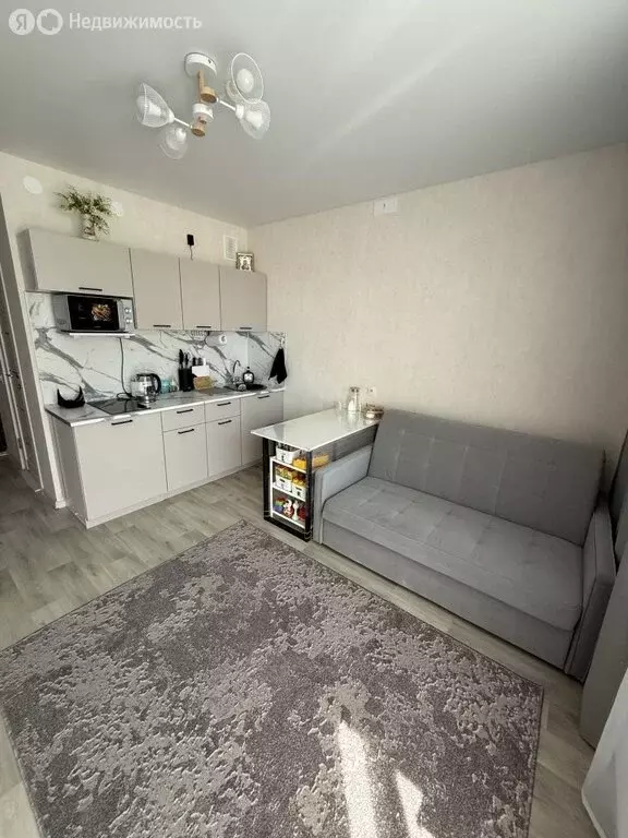 Квартира-студия: Нижний Новгород, улица Бориса Видяева, 29 (17.4 м) - Фото 2