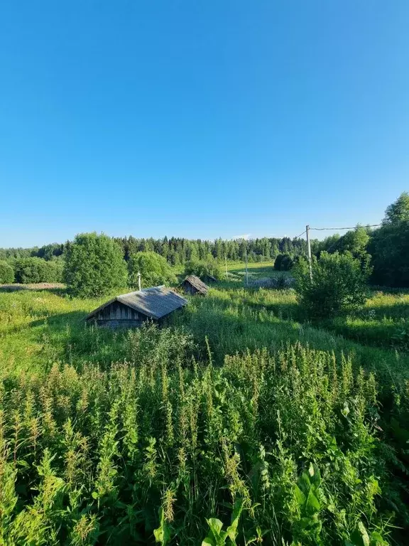 Участок в Ярославская область, Ярославский район, Кузнечихинское ... - Фото 1