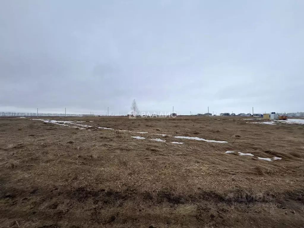 Участок в Пензенская область, с. Бессоновка ул. Родниковая, 110 (10.0 ... - Фото 1