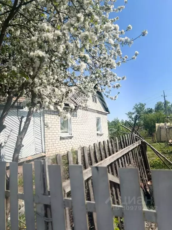 Дом в Алтайский край, Барнаул городской округ, пос. Березовка  (31 м) - Фото 1