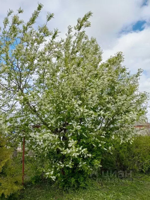 Дом в Нижегородская область, Сергач АО СЭМЗ СНТ,  (25 м) - Фото 1