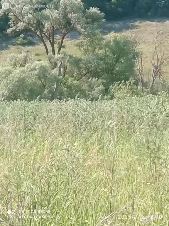 Участок в Лямбирский район, село Берсеневка (5.5 м) - Фото 2