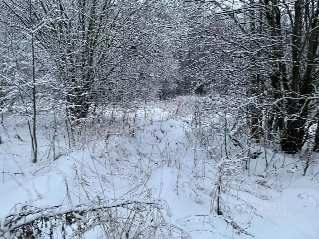 Участок в Московская область, Воскресенск городской округ, д. ... - Фото 0