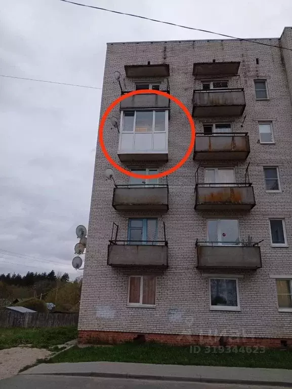 2-к кв. Ленинградская область, Любань Тосненский район, Селецкое ш., ... - Фото 1