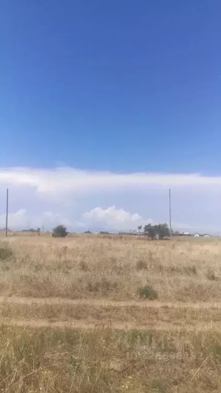 Участок в Севастополь Лукулл садоводческое товарищество, 241 (5.0 ... - Фото 1