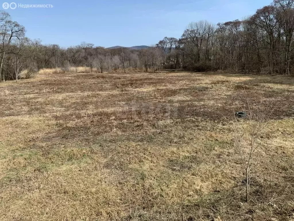 Участок в Приморский край, Анучинский муниципальный округ, село Таёжка ... - Фото 1