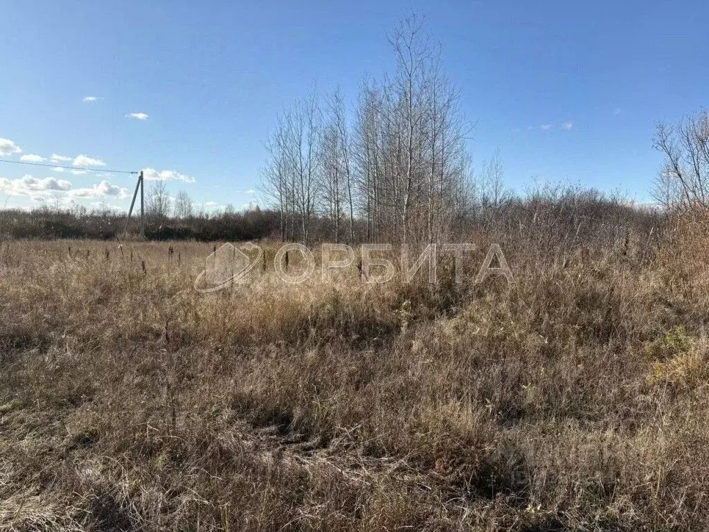 Участок в Тюменская область, Тюмень Большое Царево-1 СНТ,  (10.0 сот.) - Фото 2