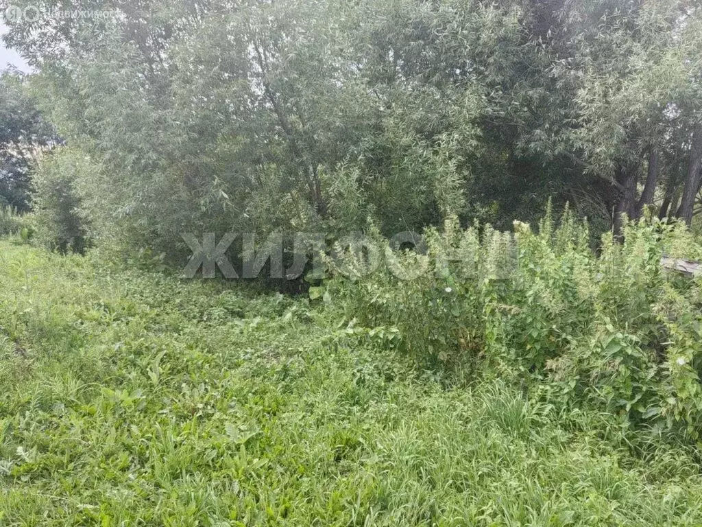 Участок в Криводановка, Октябрьская улица (19 м) - Фото 1