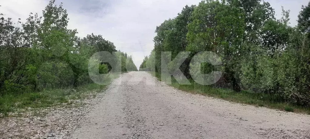 Участок 19,8 сот. (ИЖС) - Фото 1