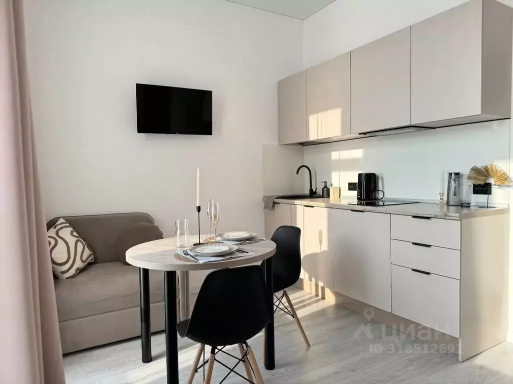 Студия Санкт-Петербург Пулковское ш., 95к3 (24.0 м) - Фото 1