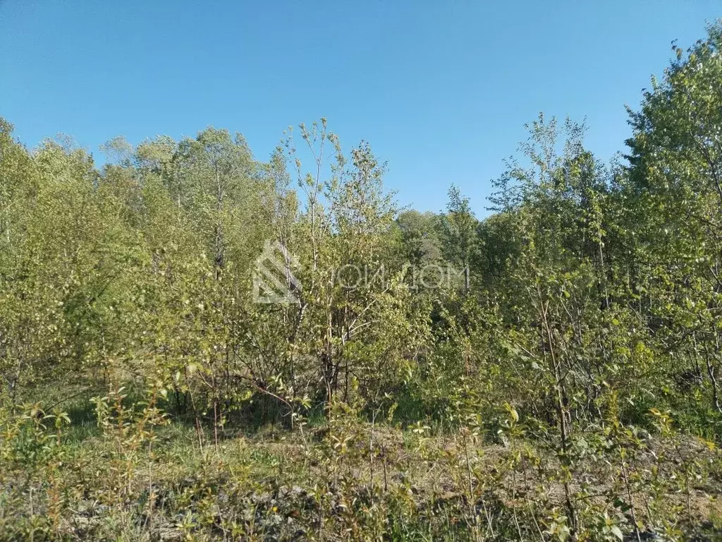 Участок в Сахалинская область, Холмский городской округ, с. Пятиречье  ... - Фото 1