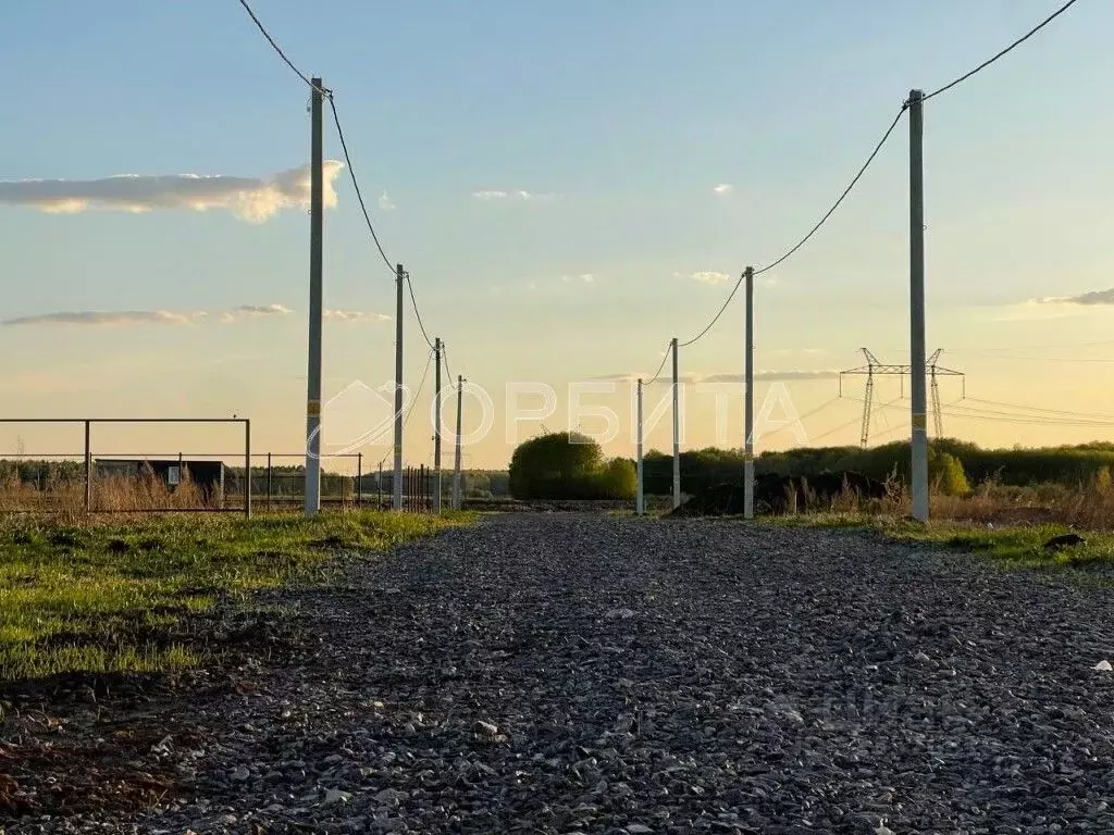 Участок в Тюменская область, Тюменский муниципальный округ, Каменское ... - Фото 2
