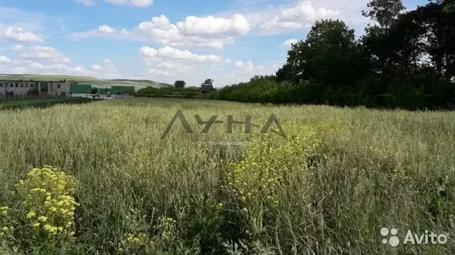 Александровка сармановский. Янурусово Татарстан. Янурусово Сармановский. Пруд Янурусово. Село Ляки Сармановского района.