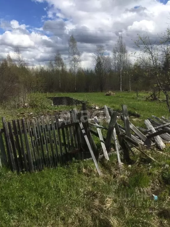 Участок в Архангельская область, Котлас ул. Радищева, 24 (10.0 сот.) - Фото 1