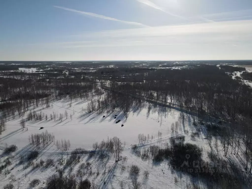 Участок в Челябинская область, Красноармейский район, с. Канашево  ... - Фото 1