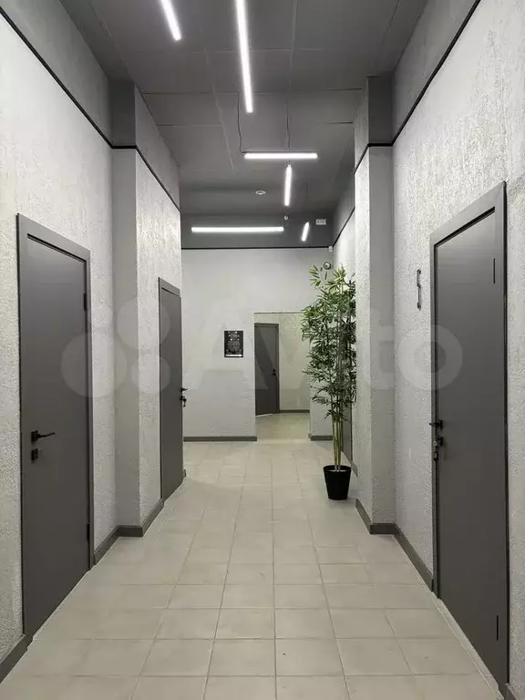 Кабинет 25 кв м с мокрой точкой и кондиционером - Фото 1