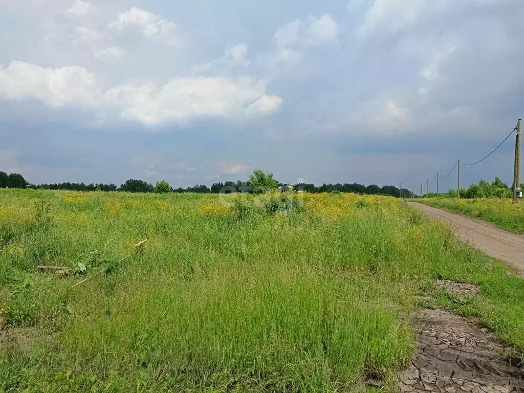 Участок в Кемеровская область, Кемеровский район, Кирилловка СНТ  ... - Фото 1