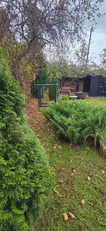 Участок в Новосибирская область, Новосибирск Кооператор садовое ... - Фото 1