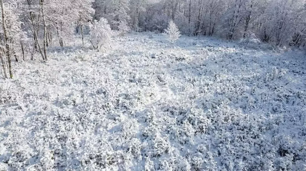 Участок в Камчатский край, Елизовский муниципальный округ, СНТ Рыбак ... - Фото 2