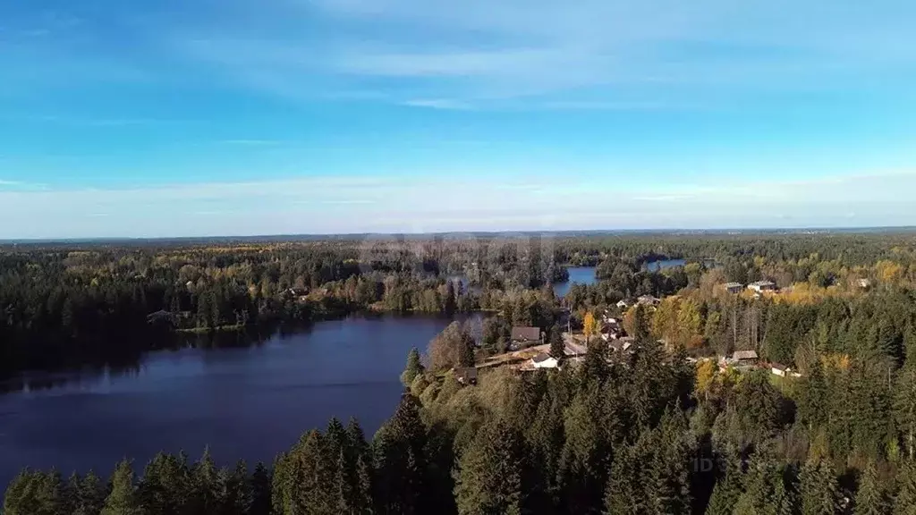 Участок в Ленинградская область, Выборгский район, Рощинское городское ... - Фото 1