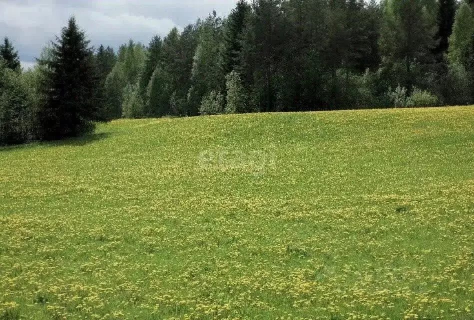 Участок в Белгородская область, Старооскольский городской округ, с. ... - Фото 1