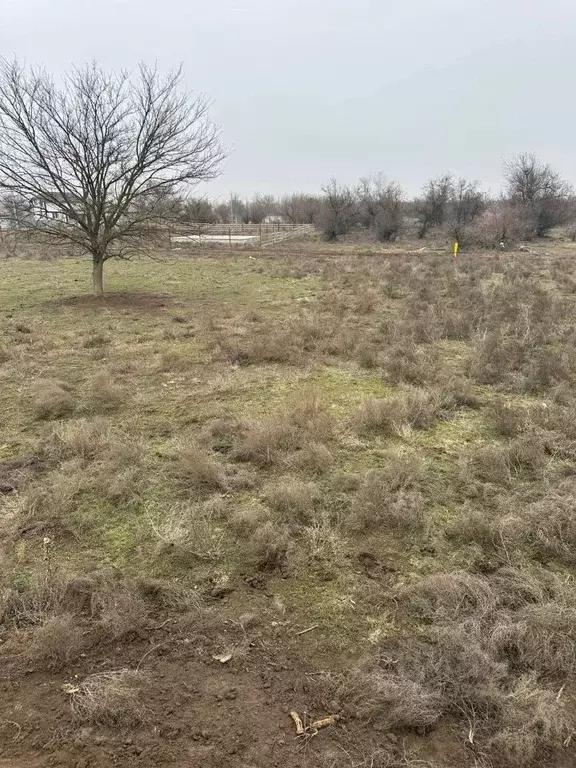 Участок в Астраханская область, Приволжский район, с. Яманцуг  (9.0 ... - Фото 2