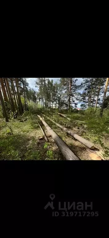 Участок в Свердловская область, Березовский муниципальный округ, пос. ... - Фото 0