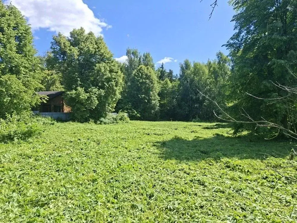 Участок в Нижегородская область, Городецкий муниципальный округ, д. ... - Фото 2