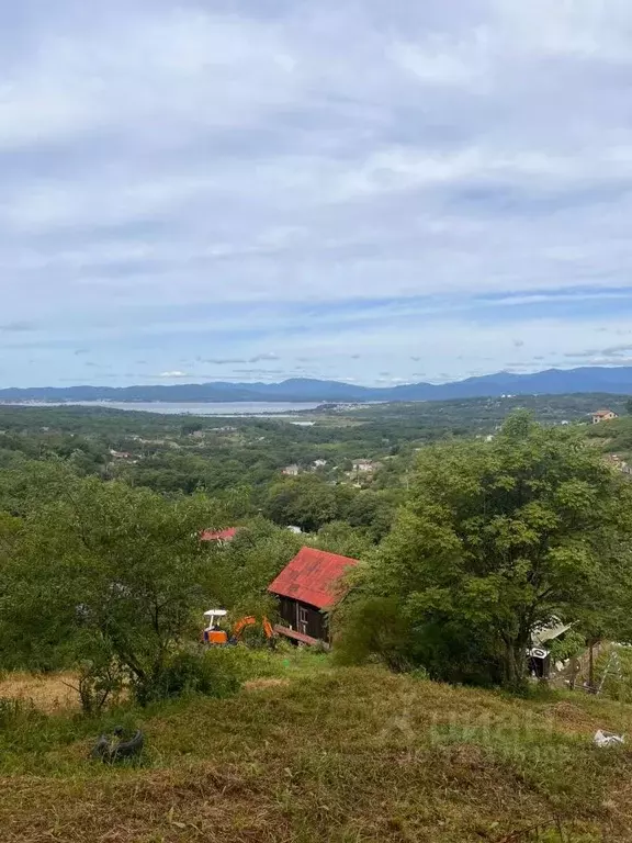 Участок в Приморский край, Партизанский муниципальный округ, Лебединая ... - Фото 1