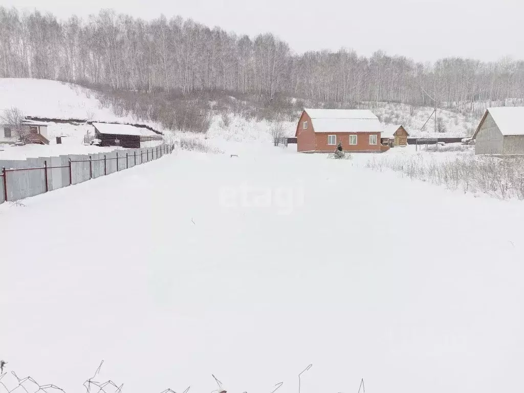 Участок в Новосибирская область, Новосибирский район, Раздольненский ... - Фото 0