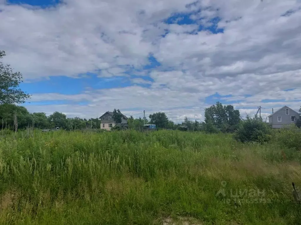 Участок в Хабаровский край, Хабаровский район, Ветеран садовое ... - Фото 1