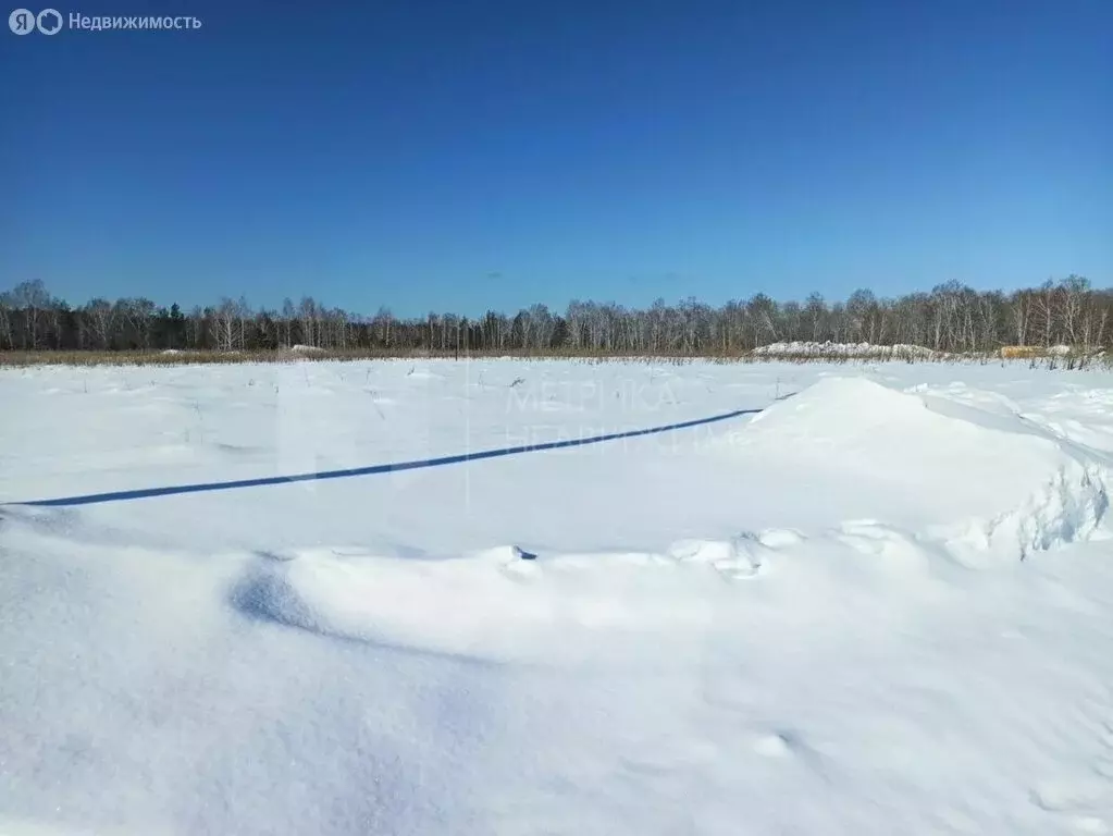 Участок в Тюменский район, деревня Коняшина (11 м) - Фото 1