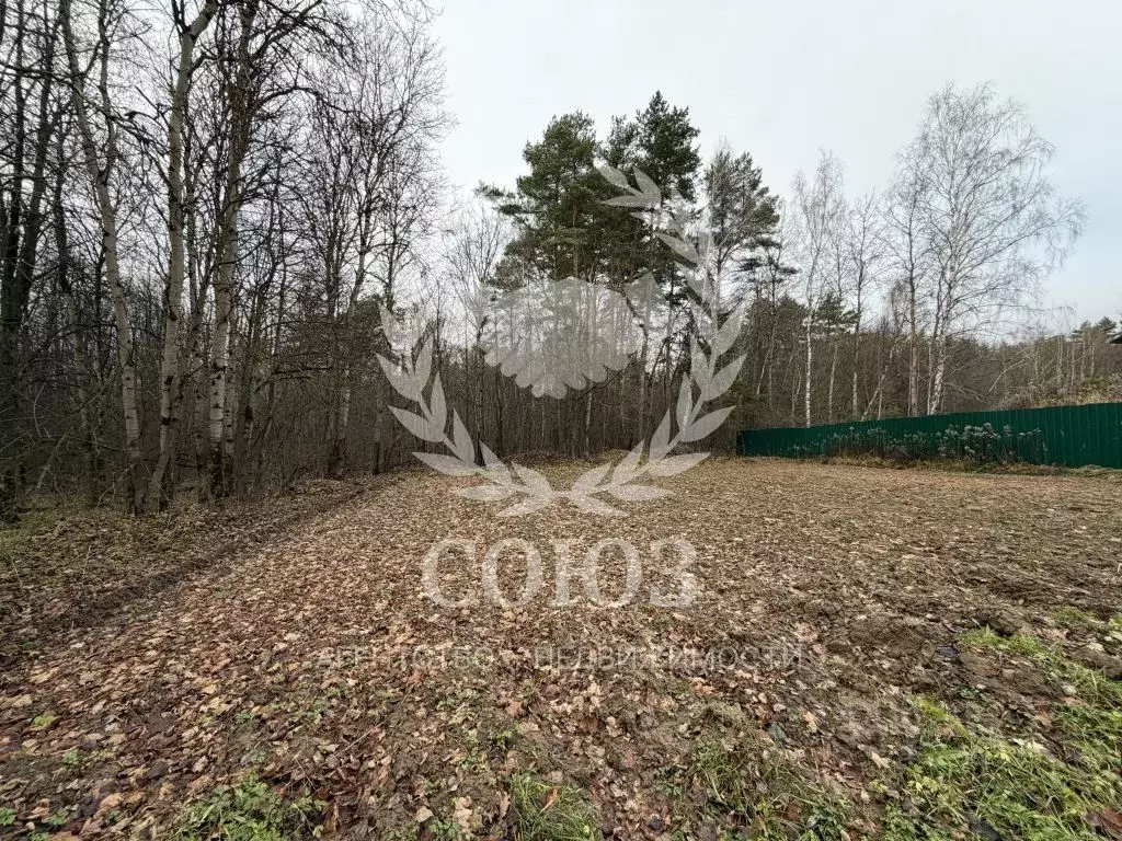 Участок в Калужская область, Калуга городской округ, д. Шопино пер. ... - Фото 1