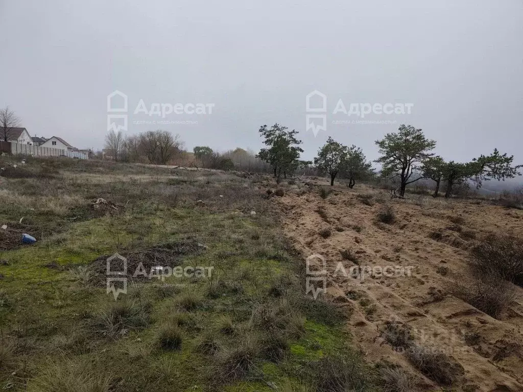 Участок в Волгоградская область, Городищенский район, Царицынское ... - Фото 2