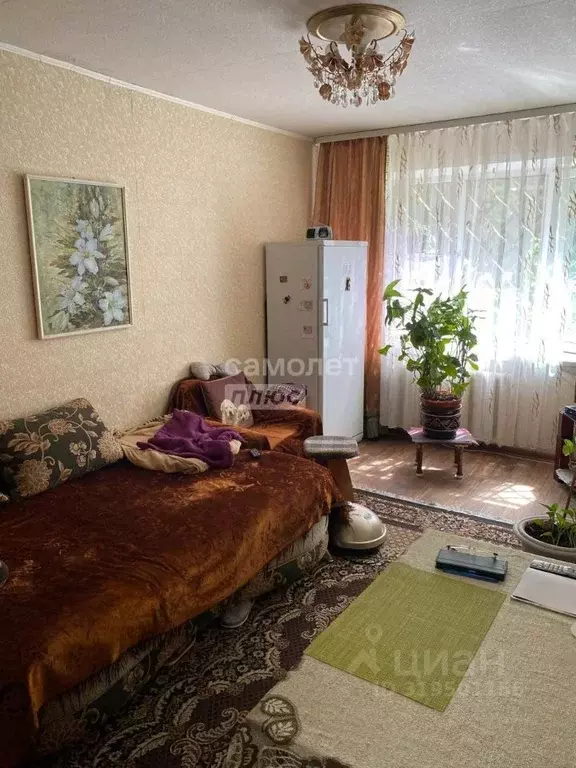 3-к кв. Курганская область, Курган ул. Коли Мяготина, 99А (63.1 м) - Фото 1
