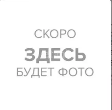 Участок в Новосибирский район, Каменский сельсовет, посёлок Восход ... - Фото 2