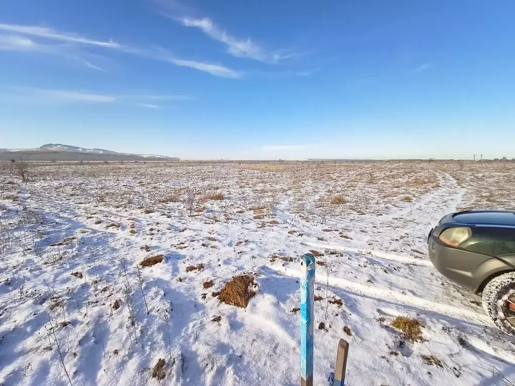 Участок в Алтайский край, Советский район, с. Платово ул. Мира (12.0 ... - Фото 0