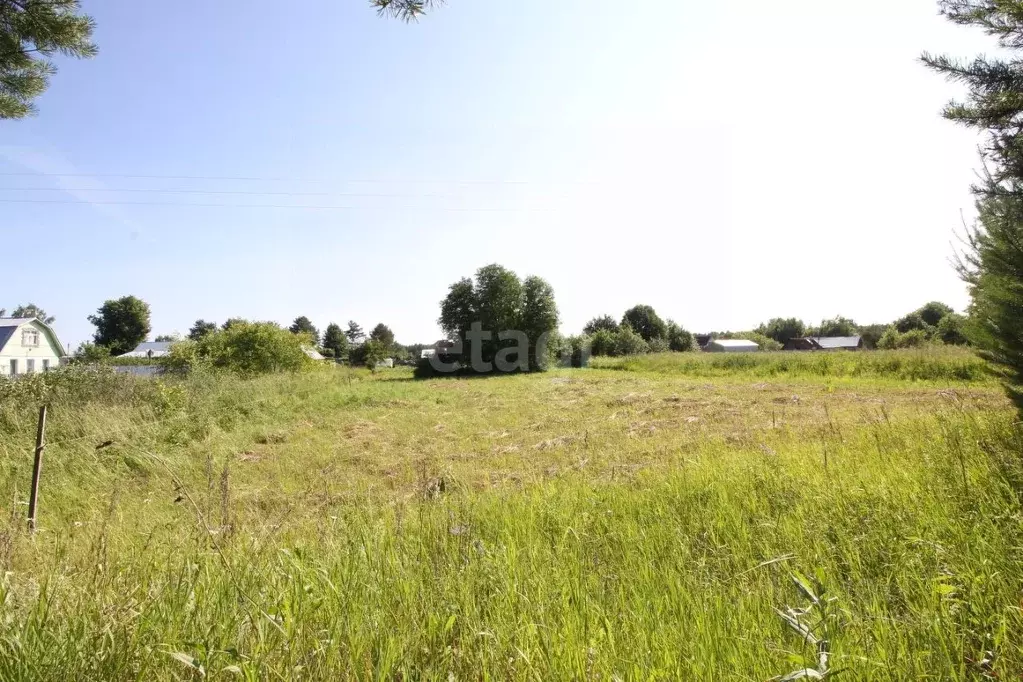 Участок в Вологодская область, Шекснинский муниципальный округ, д. ... - Фото 2