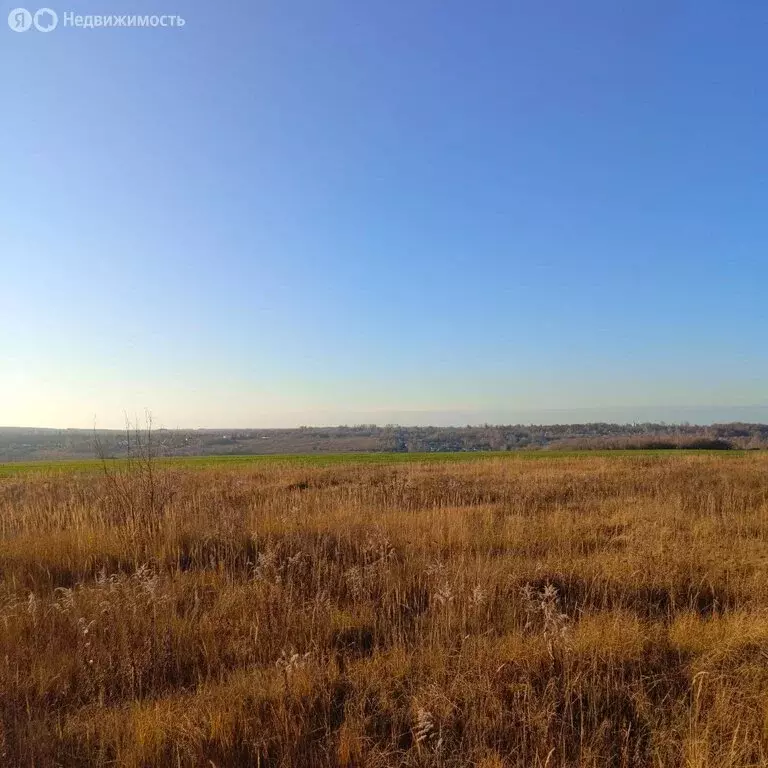 Участок в Донской, Октябрьский проезд (15 м) - Фото 1