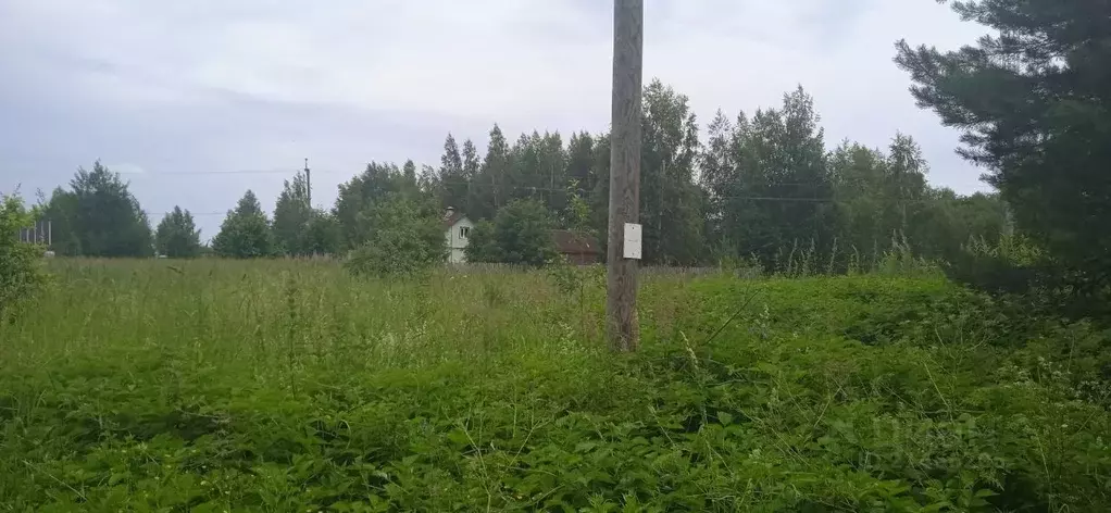 Участок в Новгородская область, Новгородский район, Бронницкое с/пос, ... - Фото 0