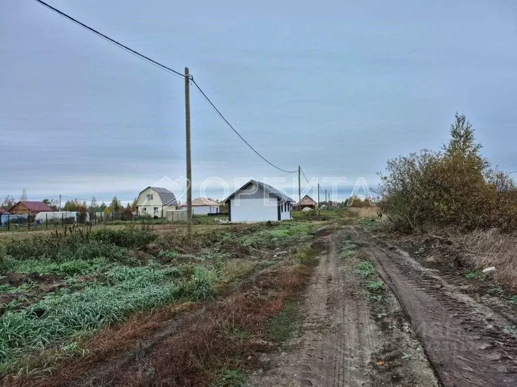 Участок в Тюменская область, Тюмень Большое Царево-2 СНТ,  (9.86 сот.) - Фото 2