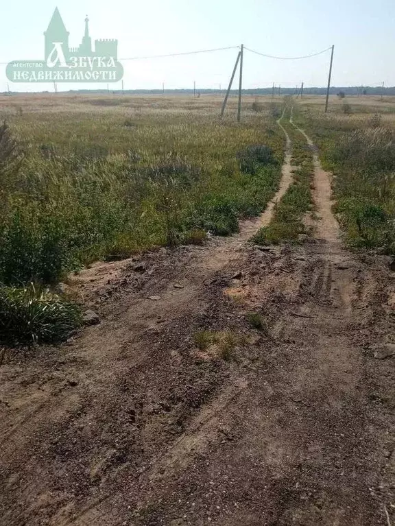 Участок в Смоленская область, Смоленский муниципальный округ, д. ... - Фото 2