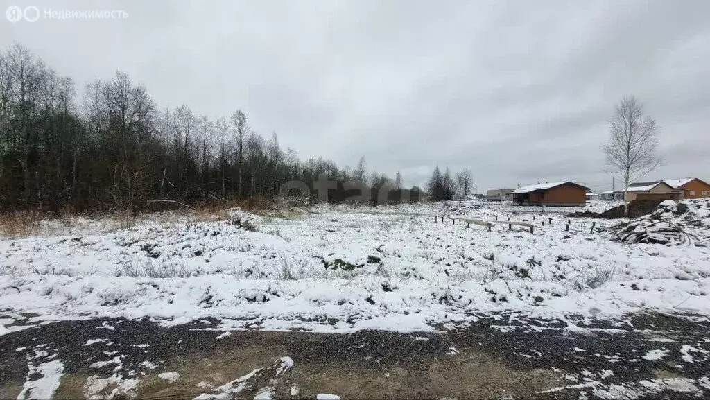 Участок в деревня Еглизи, Ижорская улица (7.28 м) - Фото 2