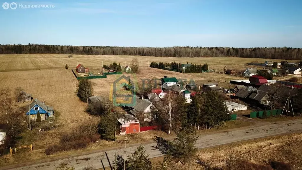 Дом в Клопицкое сельское поселение, деревня Шёлково, 40 (43.6 м) - Фото 2