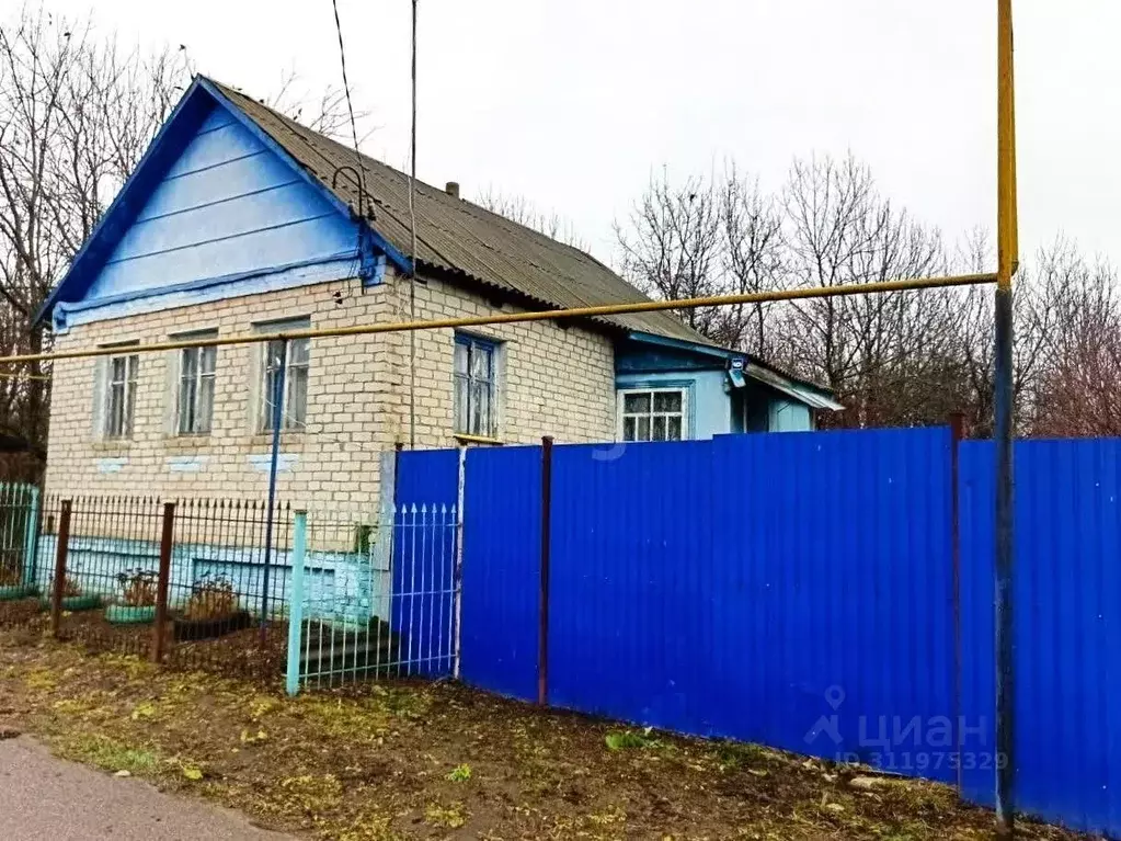 Дом в Белгородская область, Новооскольский муниципальный округ, с. ... - Фото 1