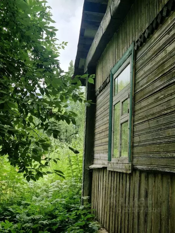 Дом в Псковская область, Псков Лопатино исторический район, ул. ... - Фото 1
