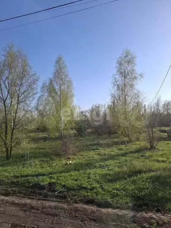 Участок 12 сот. (СНТ, ДНП) - Фото 0